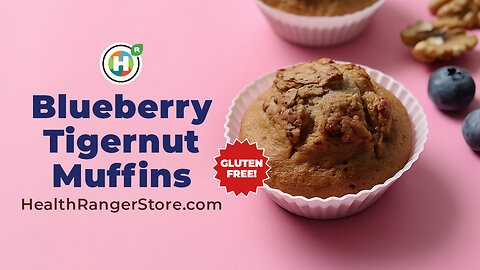 Blueberry Tigernut Muffins (Gluten Free!)