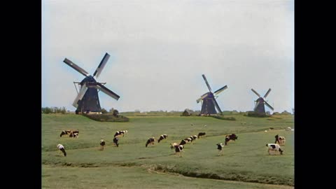 Dutch Windmills in Color: A 1930s Legacy of the Polders!