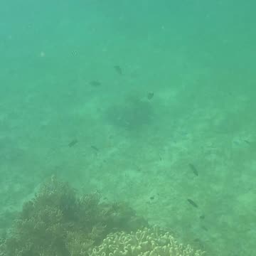 Snorkeling Morning!!