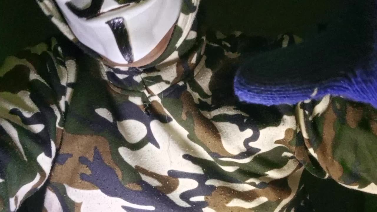 El fin de los borregos se acerca ⏱️💉👁️🪐