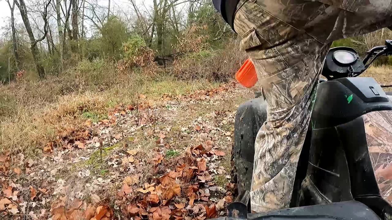 Deer Season Wrap Up