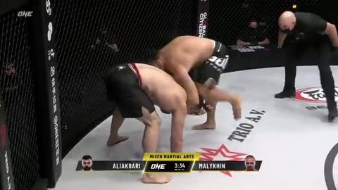 Amir Aliakbari vs Anatoly Malykhin