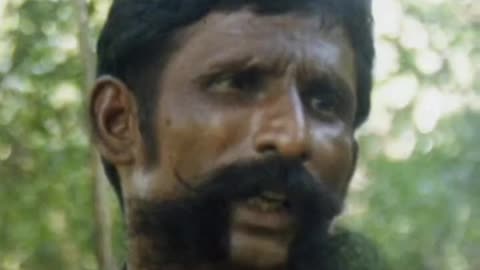 #Maaveeran Veerapan #Veerapan #Forest king #veerapan the Real Hero