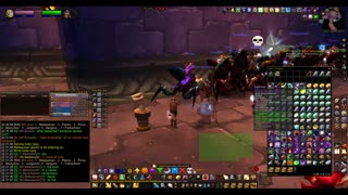 Turtle Wow - MM weekly AQ40 - 28 January - paladin POV