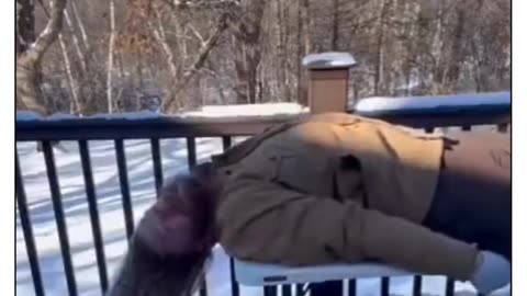 Freeze wet hair