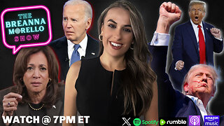 Looking Back at the Politics of 2024- Dan Lyman & Adam Johnson, Bird Flu Plandemic, and MORE- The Breanna Morello Show TONIGHT at 7pm ET