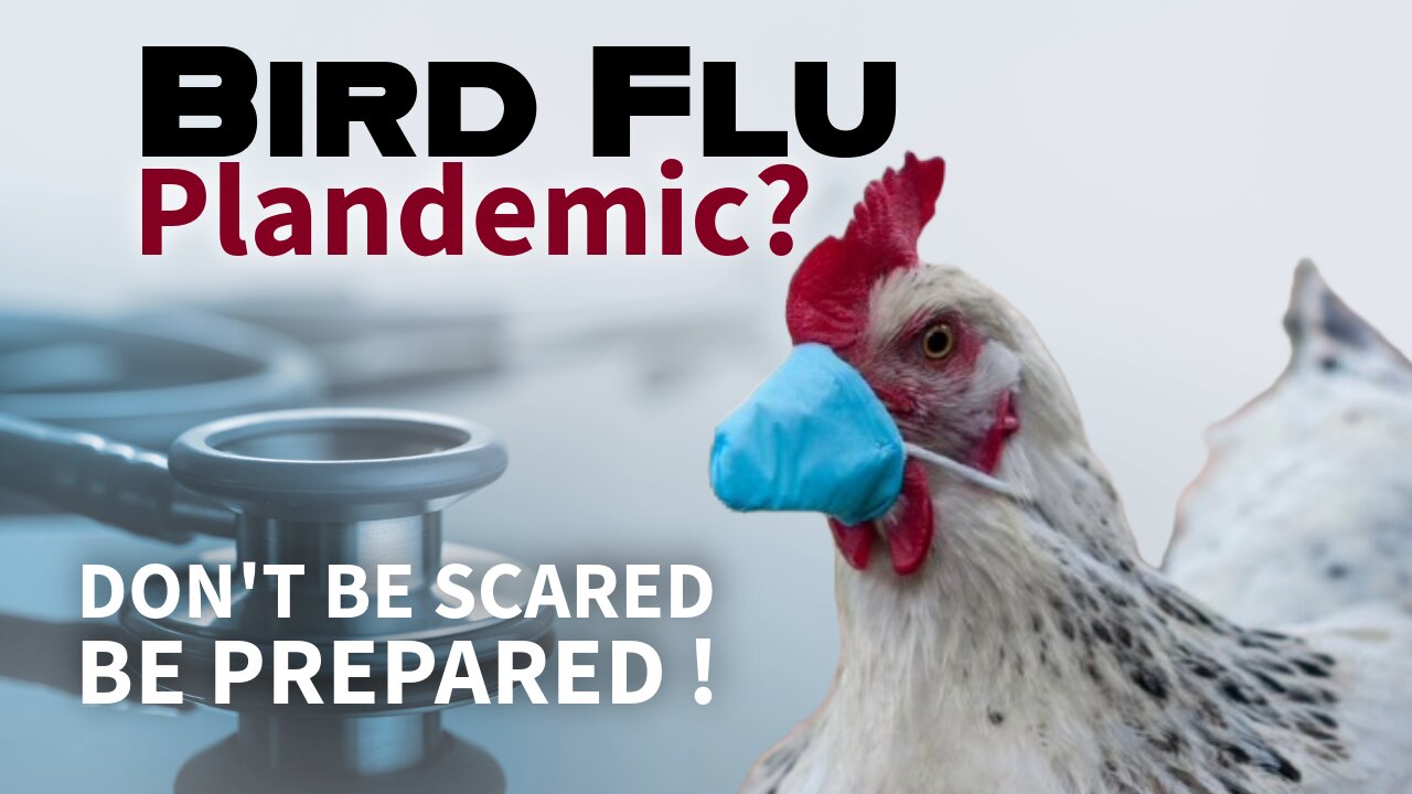 Bird Flu the Next Plandemic? Get Prepared, Don't Delay