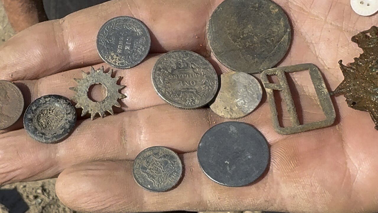 Amazing Finds Minelab Manticore