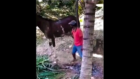 हैप्पी न्युयर