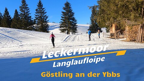 Langlaufloipe Leckermoor in Göstling an der Ybbs (Mostviertel)