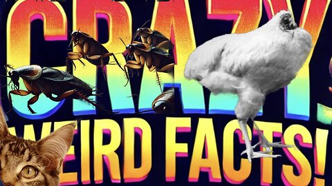 Crazy True Facts EP2