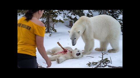 A rescue team saves a badly injured baby bear, offering hope and a second chance at life.