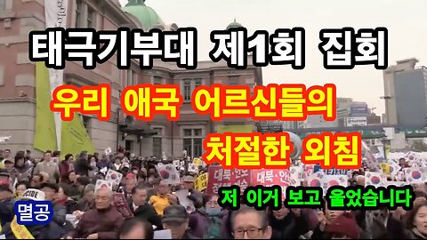 우리 애국 어르신들의 처절하고 간절한 외침 (태극기부대 제1회 집회) 꼭 봐야 합니다!