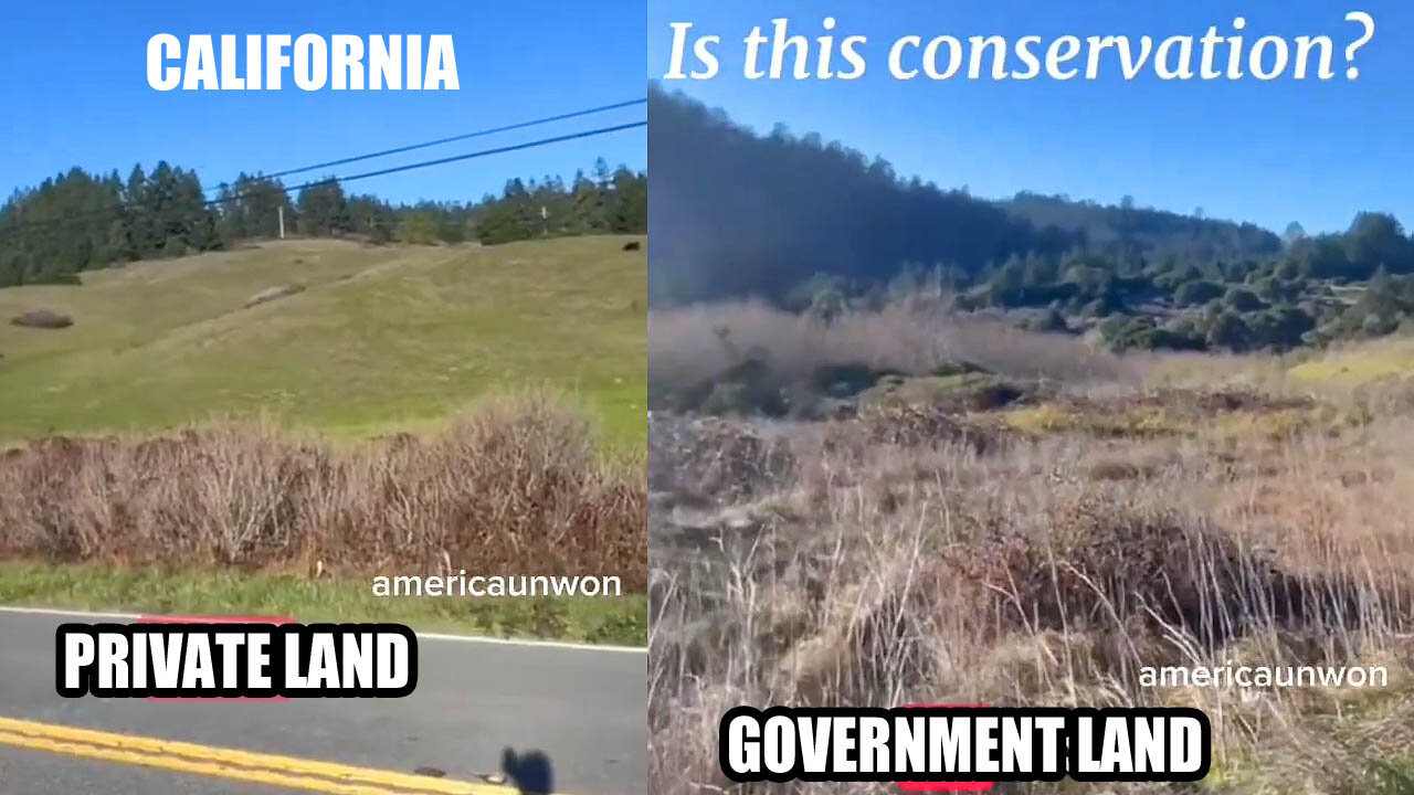 Difference between how the Government takes care of Land vs how a Private Rancher takes care of Land