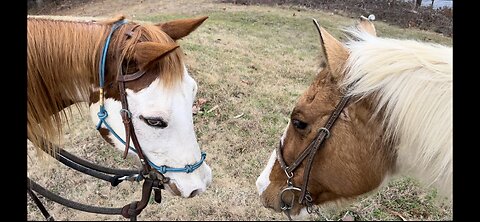 Great trail ride on the horses. With challenging hill and wonderful scenery!!!😍