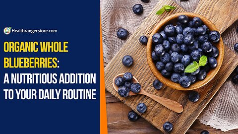 Organic Whole Blueberries: A nutritious addition to your daily routine