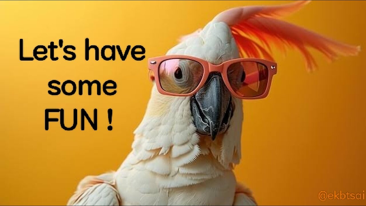 Funny Cockatoo Talking and Dancing | HAHA | pt.13