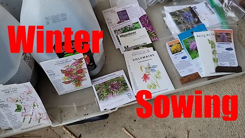 #Wintersowing : Round 1 goes to the Flowers