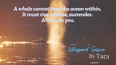 You Are a Whale Spouting Wealth – Whispered Hypnotic Tribute Ritual with powerful affirmations