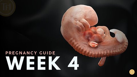 What to Expect at Week 4 | Week by Week Pregnancy Guide