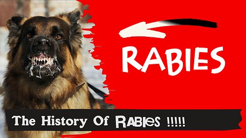 Rabies Epidemic 😷