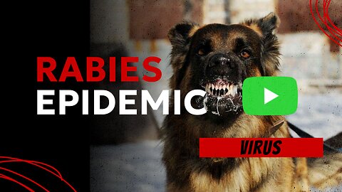 Deadliest Epidemic 😷