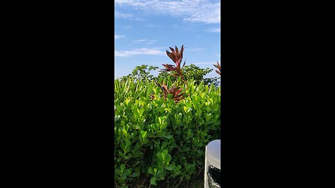 Solemar - Praia Grande - SP