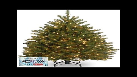 National Tree Company Pre-Lit Artificial Mini Christmas Tree Green Dunhill Fir White Review