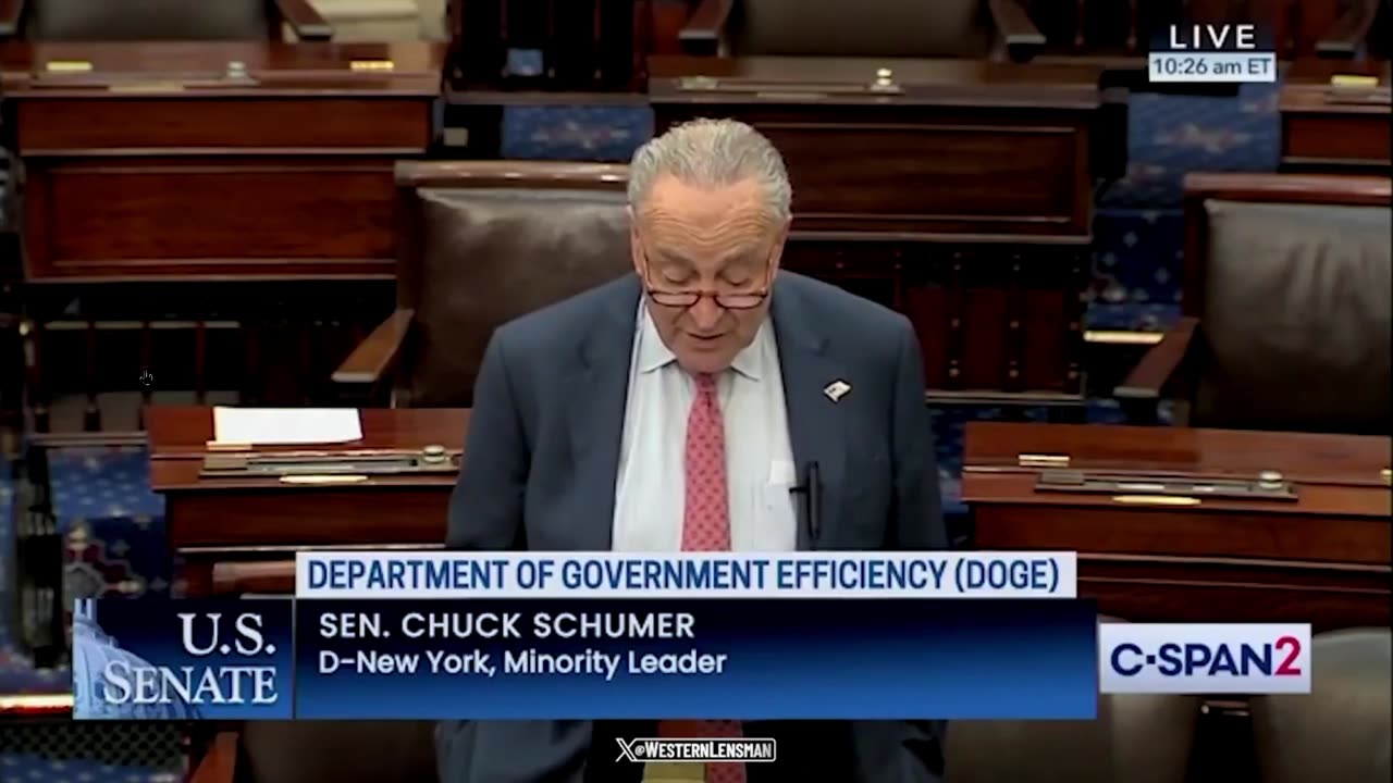 SCHUMER on DOGE: Doge is reining chaos on the American people?