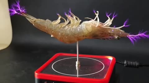 Amazing Electric Music Gadgets