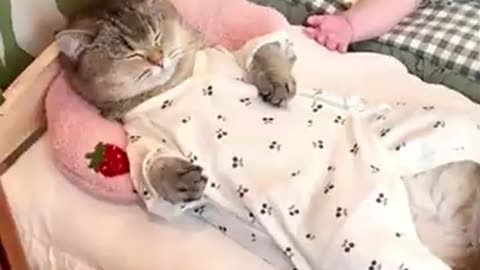 funnyanimals