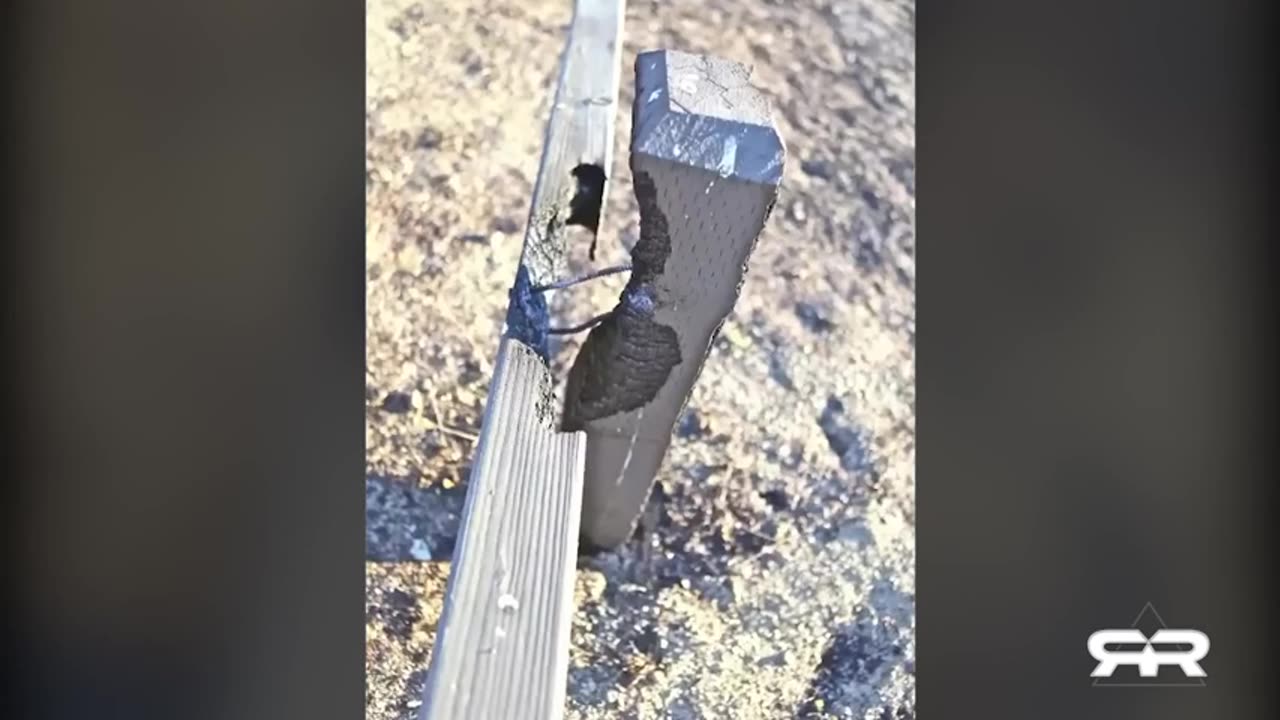 DEWS / HOUSES BURNING TO ASH