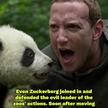 Is Mark Zuckerberg anti-baby panda bear?
