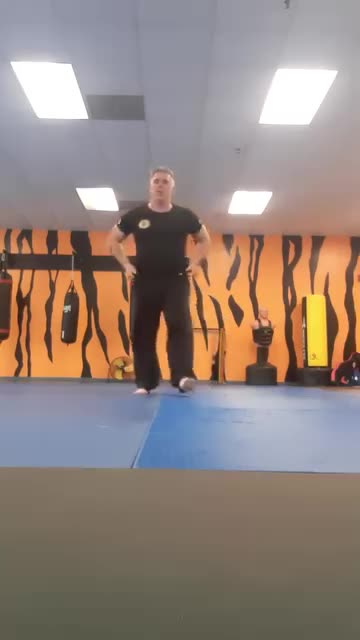 Tong Hap Kwan Hoshinsul Kicking Techniques