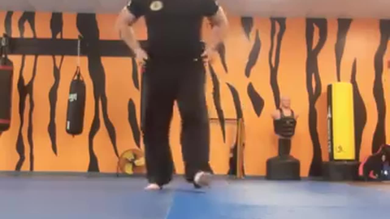 Tong Hap Kwan Hoshinsul Kicking Techniques
