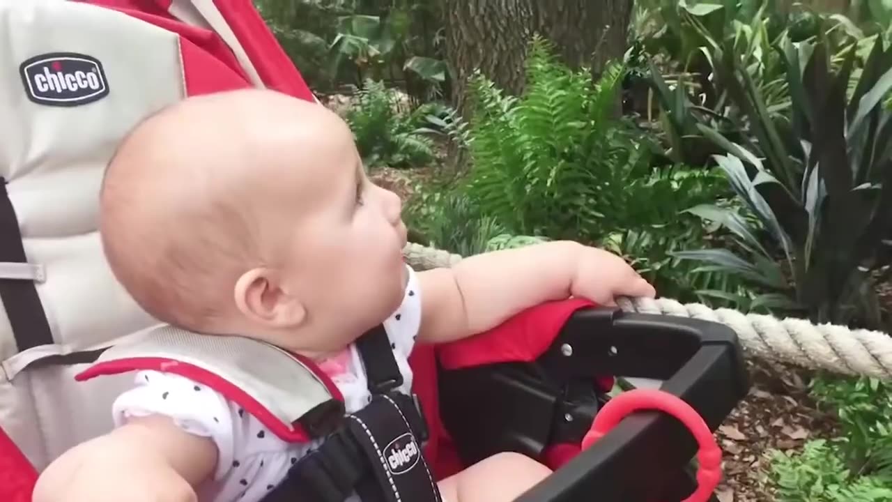 FUNNY BABY VIDEOS try not to laugh baby funny compilation 2021