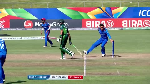 Fantastic Cricket Runout