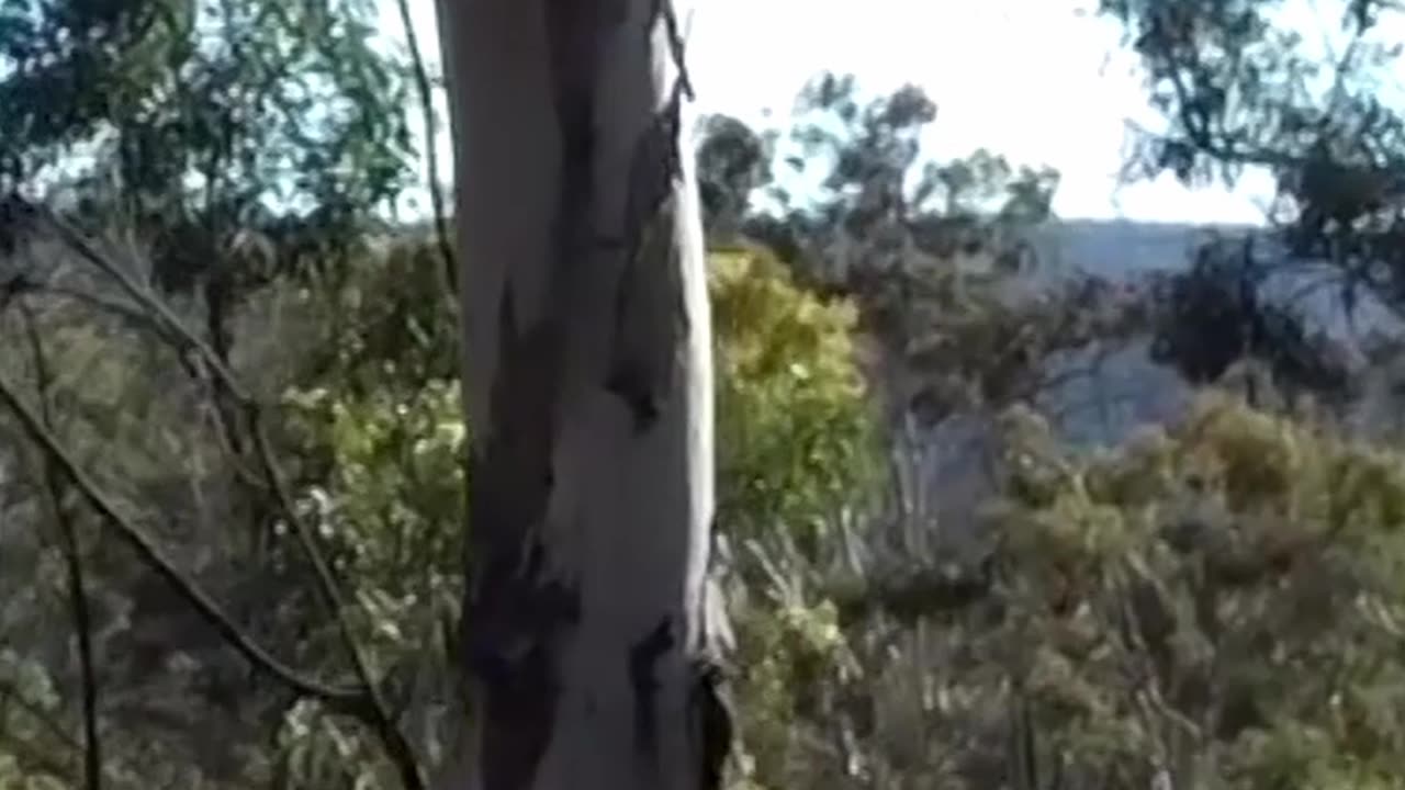 Cal To Col Eight