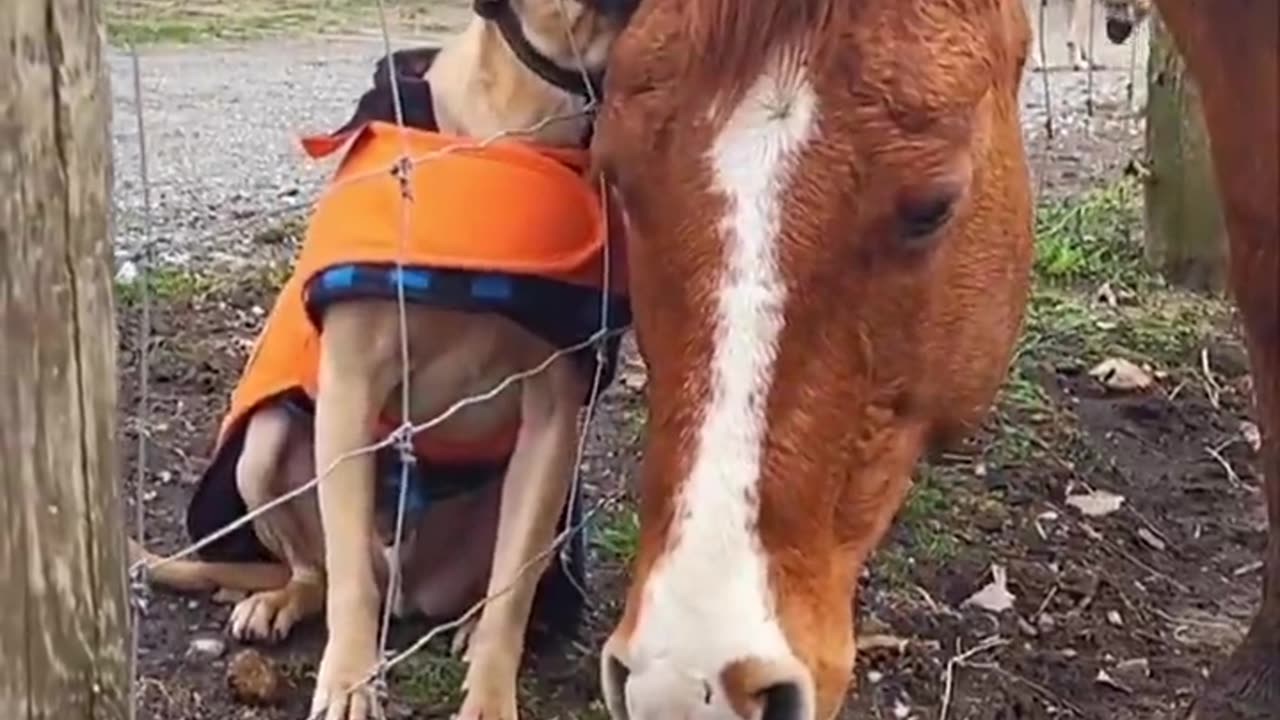 A bond beyond words-just pure love and trust.