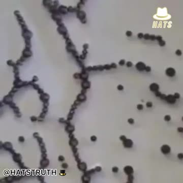 This is graphene oxide's reaction to 5G radio waves.