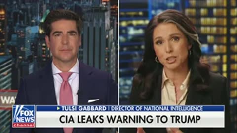 Tulsi Gabbard Blasts CNN as CIA ‘Propaganda Arm