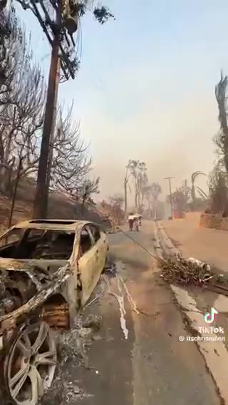 Palisades fire aftermath