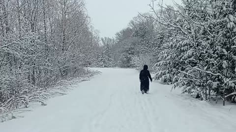 Canadian Winter Walks