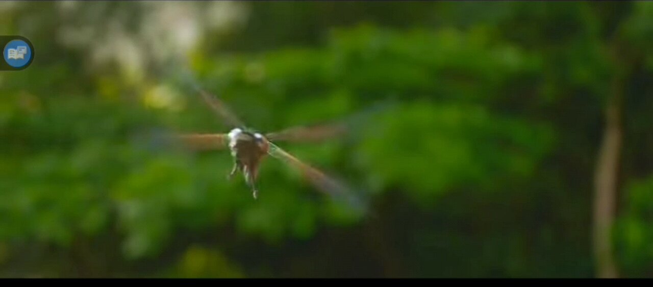 The powerful make tastey meals.