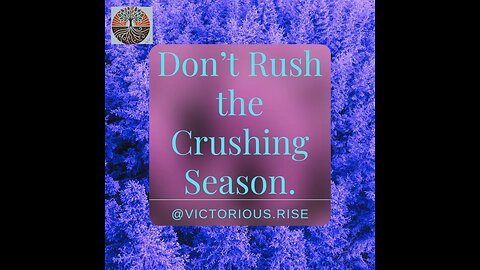 Don’t Rush the Crushing Season