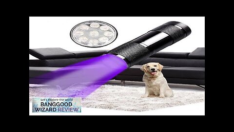 BIKIGHT U01 9x LED Violet Light Multifunction UV LED Flashlight Fluorescence Detection Review