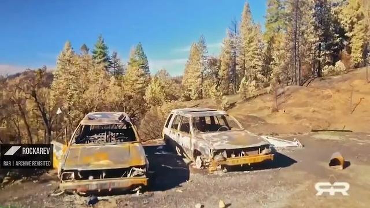 Forensic Arborist - Robert Brame explains how trees ABSOLUTELY burn in forest fires