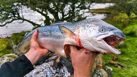 The Secret to Perfect Fire-Smoked Salmon | Outdoor Cooking Adventure