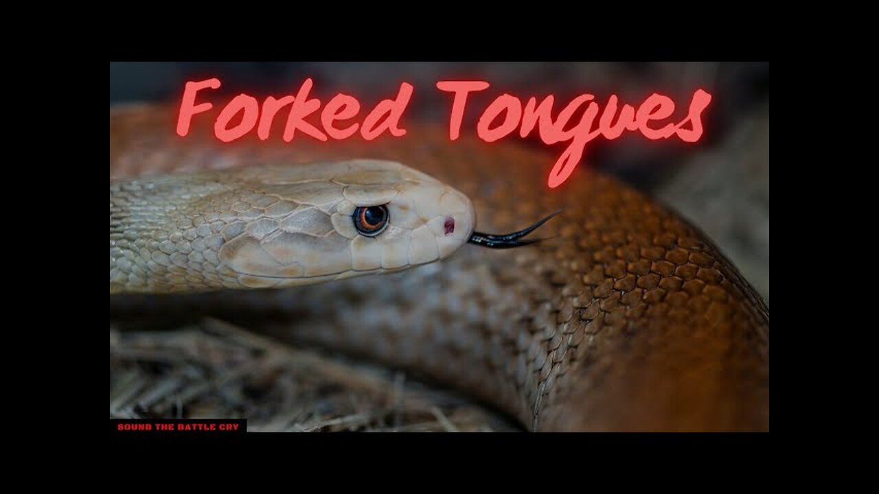 *TRUE Biblical Christian Found!* Forked Tongues: Filthy & Foolish Conversation of the Religious