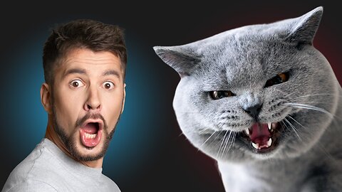 What Your Cat HATES About You! 😱